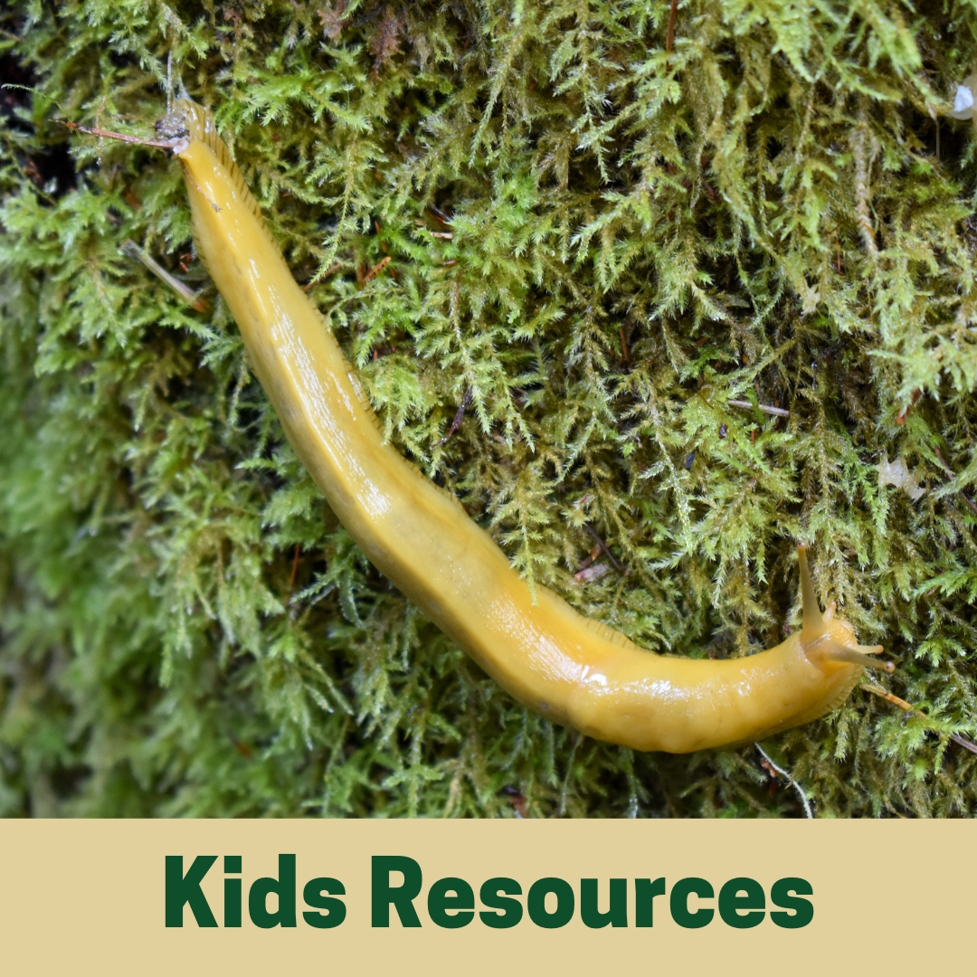 Kids Resources